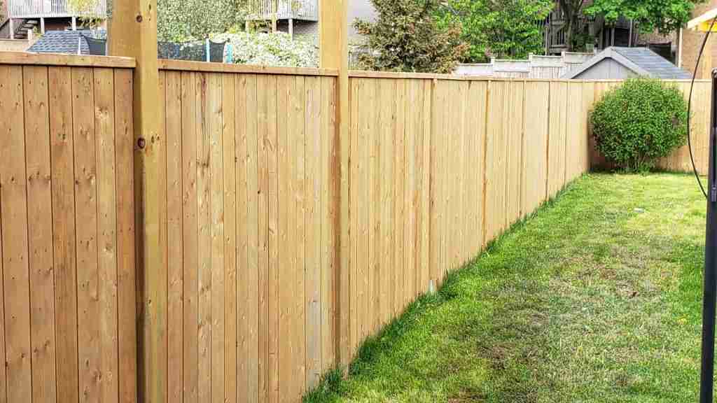 Capped wooden privacy fence in a backyard in Texas