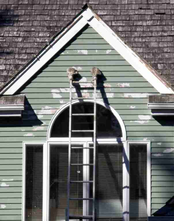 A house exterior being prepered for painting