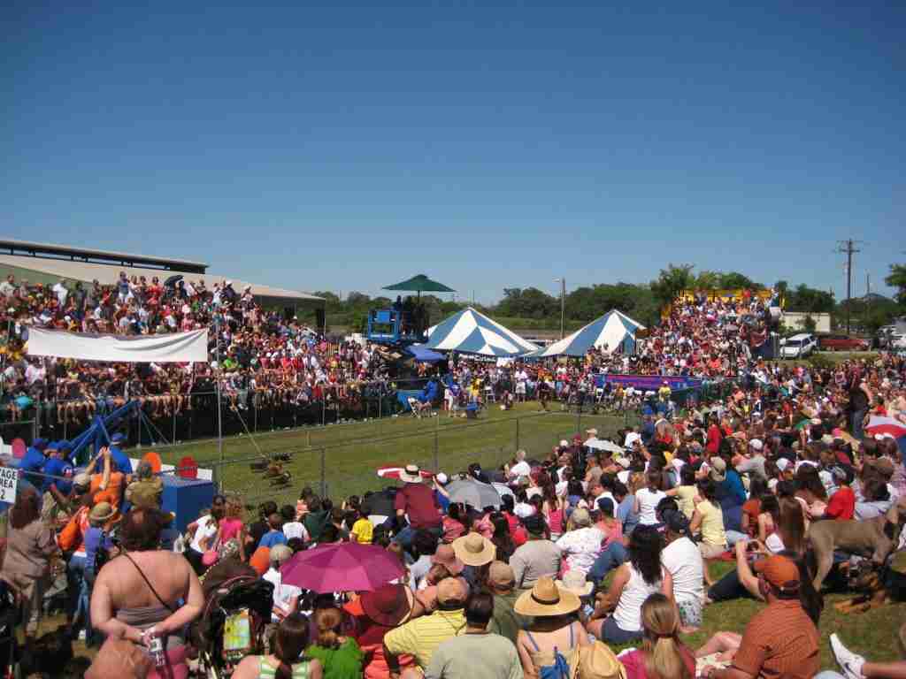 Annual Weiner Dog Races in Buda Texas